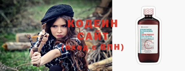 амф Няндома