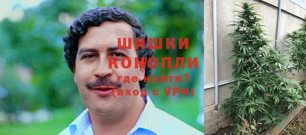 сатива Новодвинск