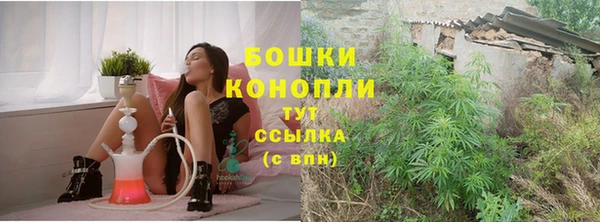амф Няндома