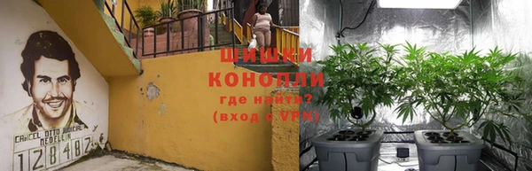 амф Няндома
